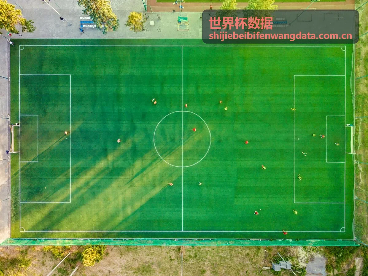 世界杯数据-赛前预测分析